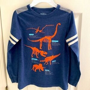 Like new dinosaur graphic long sleeve T-shirt